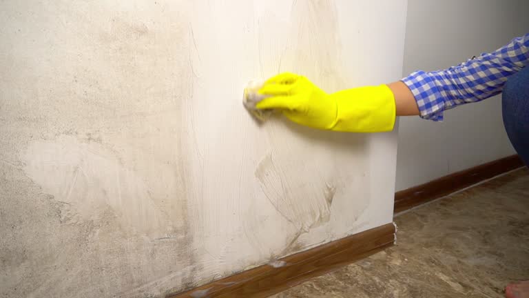 Professional Mold Inspection, Removal & Remediation in Deenwood, GA